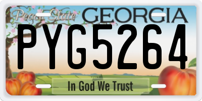 GA license plate PYG5264