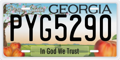 GA license plate PYG5290