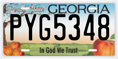 GA license plate PYG5348