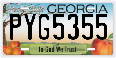GA license plate PYG5355