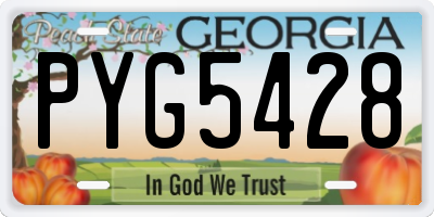 GA license plate PYG5428