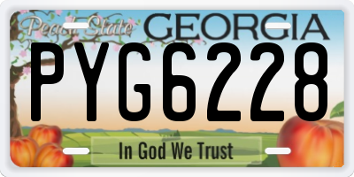 GA license plate PYG6228