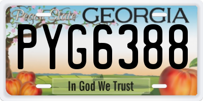 GA license plate PYG6388