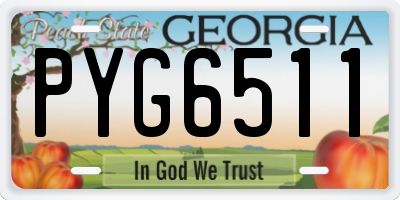 GA license plate PYG6511
