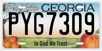 GA license plate PYG7309