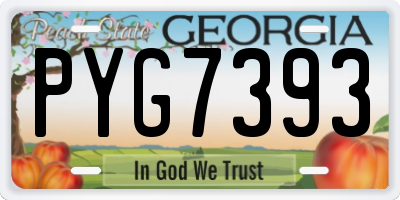 GA license plate PYG7393