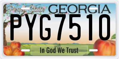 GA license plate PYG7510