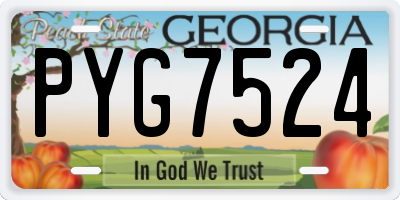 GA license plate PYG7524