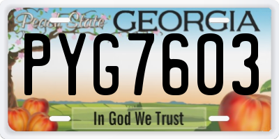 GA license plate PYG7603