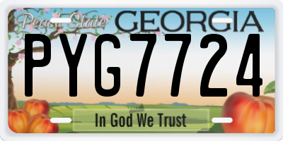 GA license plate PYG7724
