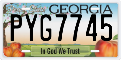 GA license plate PYG7745