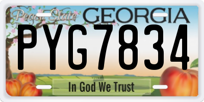 GA license plate PYG7834