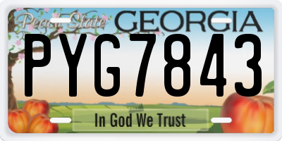 GA license plate PYG7843