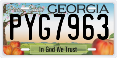 GA license plate PYG7963