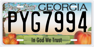 GA license plate PYG7994