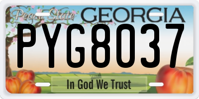 GA license plate PYG8037