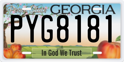 GA license plate PYG8181