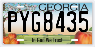 GA license plate PYG8435