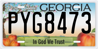 GA license plate PYG8473