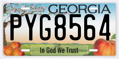 GA license plate PYG8564