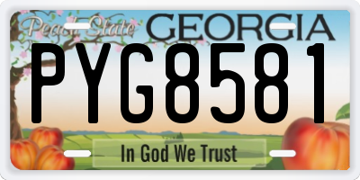 GA license plate PYG8581