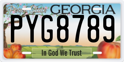 GA license plate PYG8789