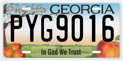 GA license plate PYG9016