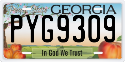 GA license plate PYG9309