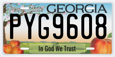 GA license plate PYG9608