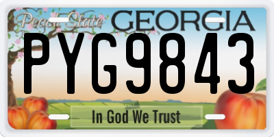 GA license plate PYG9843