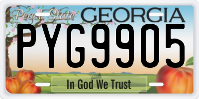 GA license plate PYG9905