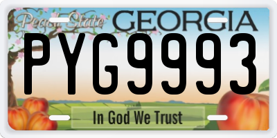 GA license plate PYG9993