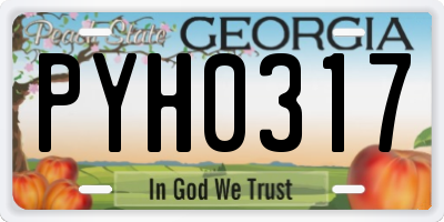 GA license plate PYH0317