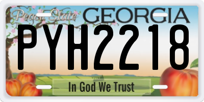 GA license plate PYH2218