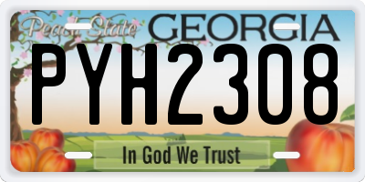 GA license plate PYH2308