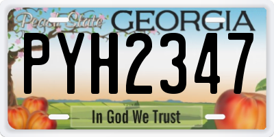 GA license plate PYH2347