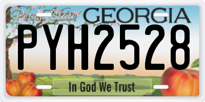 GA license plate PYH2528