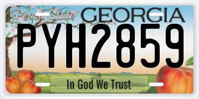 GA license plate PYH2859