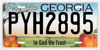 GA license plate PYH2895