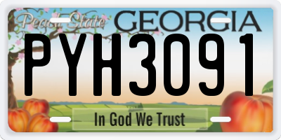 GA license plate PYH3091