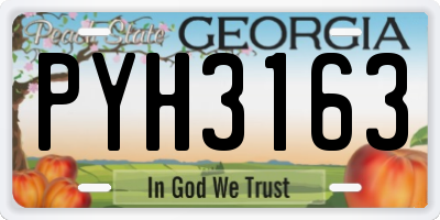 GA license plate PYH3163