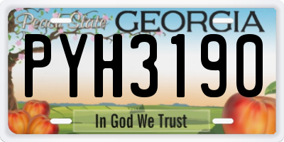 GA license plate PYH3190