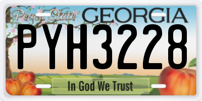 GA license plate PYH3228