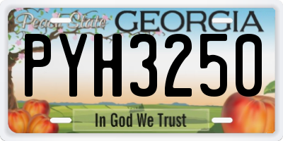 GA license plate PYH3250