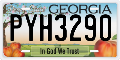 GA license plate PYH3290