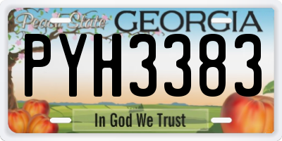 GA license plate PYH3383