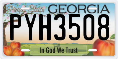 GA license plate PYH3508