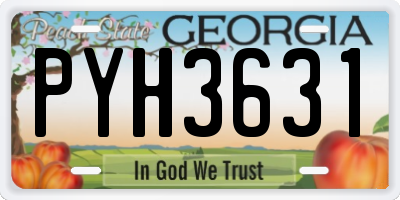 GA license plate PYH3631