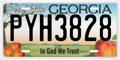 GA license plate PYH3828