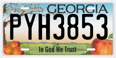 GA license plate PYH3853